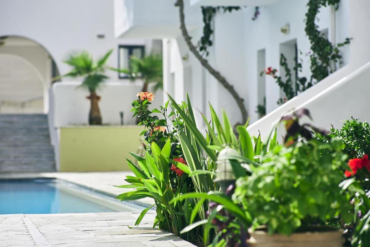 Eva Suites & Apartments Agia Marina Buitenkant foto